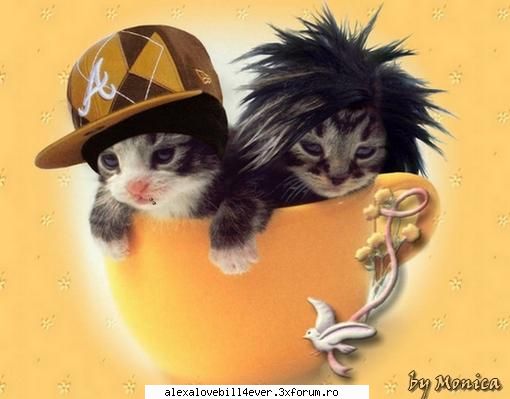 :nebun:  :nebun:  :nebun: 

asha ce dulce e asta :nebun:  :nebun:  :nebun: :nebun: !g a l e r i e ~