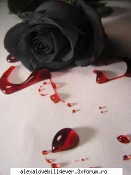 Dragoste de sora - Imi place ceea ce ai scris si simt in fikul - * A R H I V A ~ F A N  ~ F I C T I O N   *