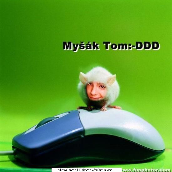Have fun with tom!!! - T" nenorocitul care si-a batut jok o sa ..o - * T O M ~ K A U L I T Z  *