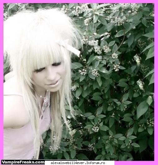 Misty - Buua Mihaa - * E M O   *
