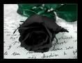 Shine your light!!!! - asa si nextu: 15 ANI IN URMA X;Yo nu pot - * A R H I V A ~ F A N  ~ F I C T I O N   *