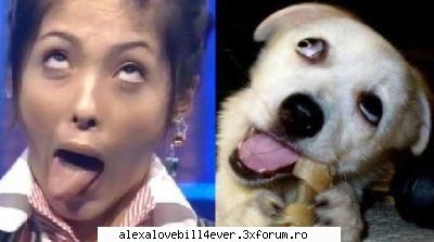 poze haioase - seamana....saracu caine..cred cai cadea ochiu :( - * L E T' S ~ T A L K  *